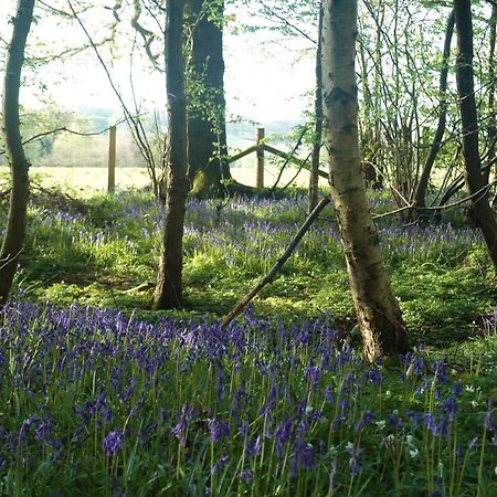 Bluebells Daire Rye Dış mekan fotoğraf